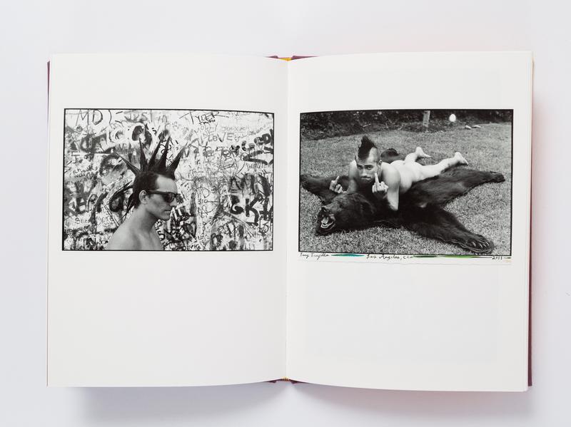 Book of the day \u003e Ed Templeton Hairdos of Defiance